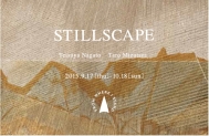 STILLSCAPE ʡ